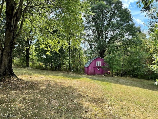 70571 Pine Hollow Rd, Bridgeport, OH 43912 - view of grassy yard featuring a shed and a forest view