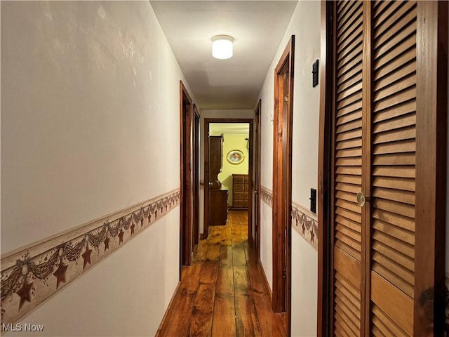 70571 Pine Hollow Rd, Bridgeport, OH 43912 - hall featuring dark wood-style floors and wainscoting