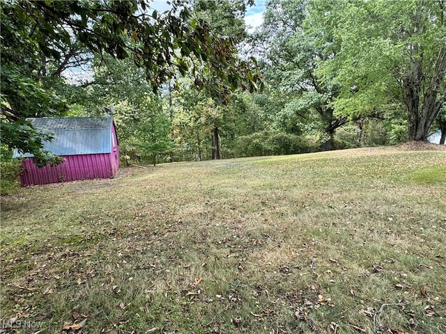 view of yard featuring a shed