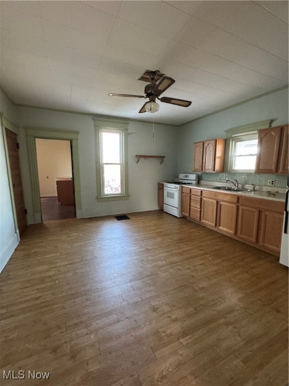 kitchen featuring dark wood-type flooring, white gas stove, sink, and a wealth of natural light