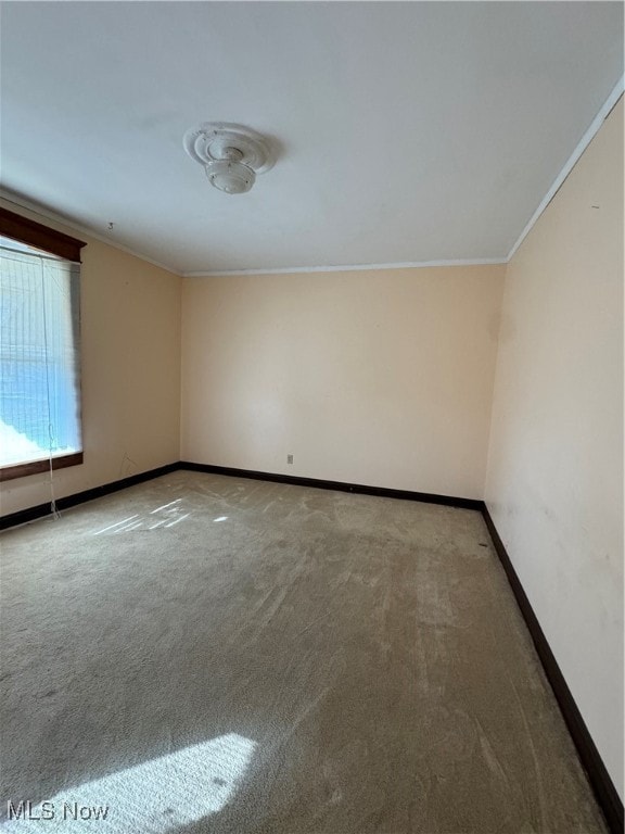 carpeted empty room featuring ornamental molding