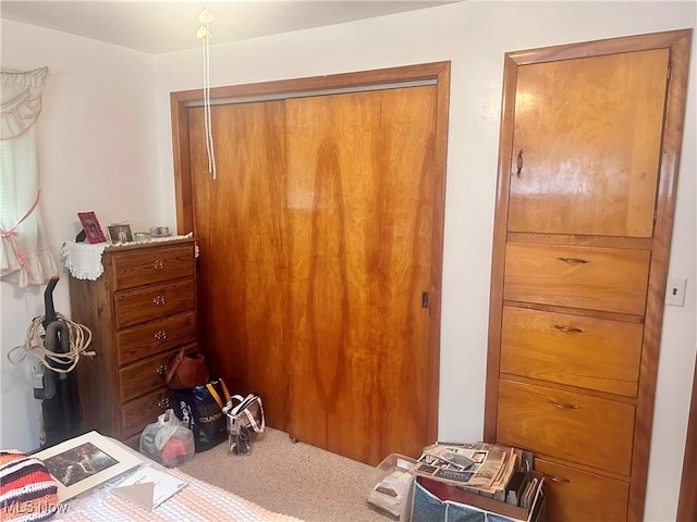 carpeted bedroom with a closet