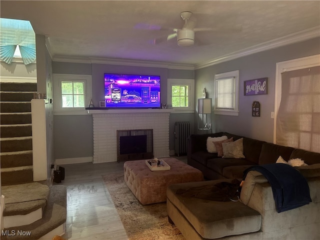 living room featuring a fireplace, hardwood / wood-style floors, crown molding, radiator heating unit, and ceiling fan