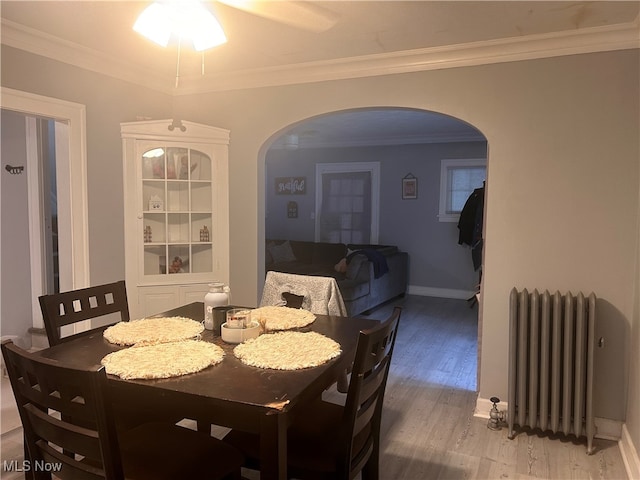 dining area with ceiling fan, radiator, crown molding, and hardwood / wood-style floors