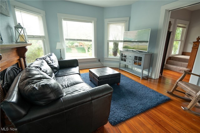 living room with wood-type flooring