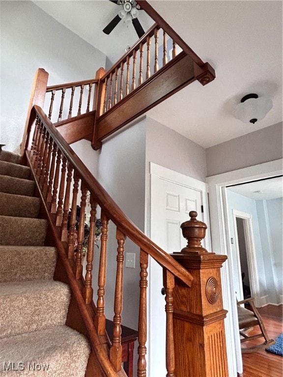 stairway featuring wood-type flooring and ceiling fan