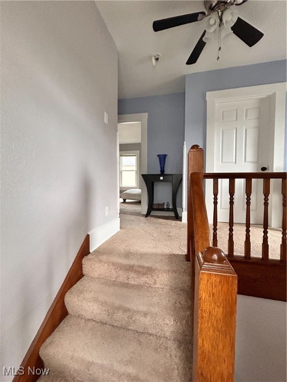 staircase featuring carpet and ceiling fan