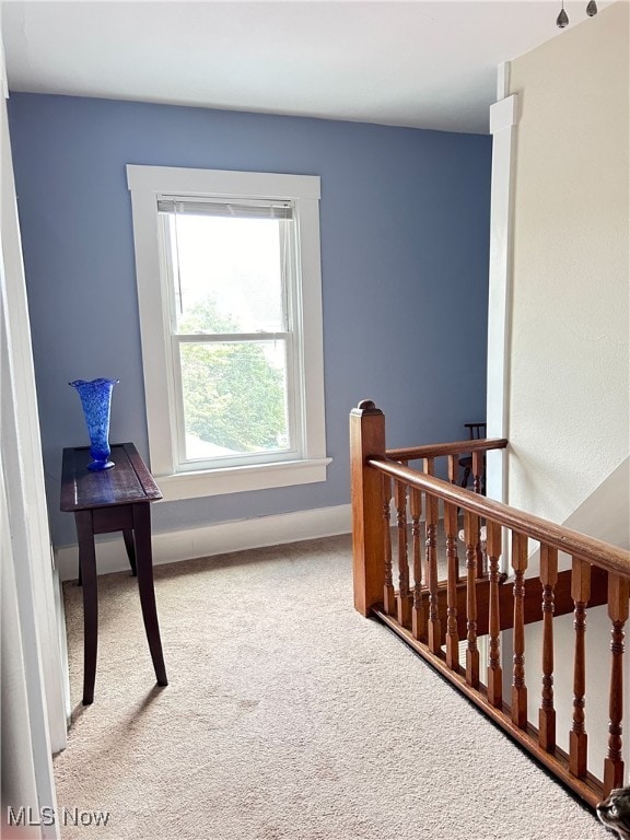 bedroom featuring carpet floors