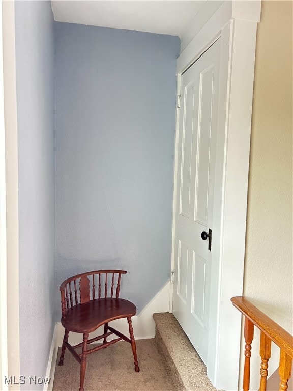 living area with carpet flooring