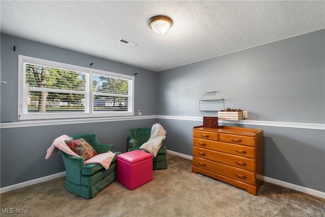 sitting room with carpet and a textured ceiling