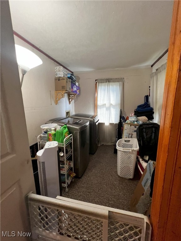 clothes washing area featuring carpet floors, ornamental molding, and washing machine and clothes dryer