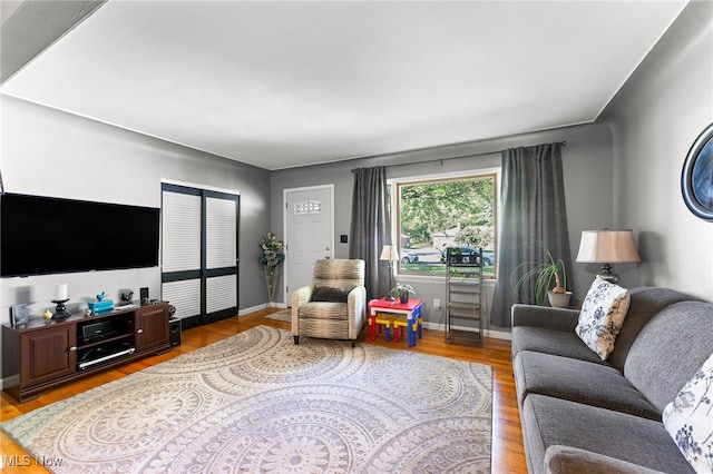 living room with hardwood / wood-style floors