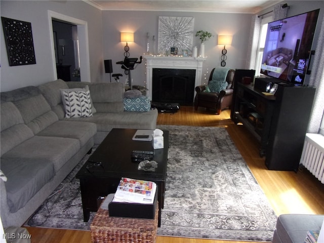 living room featuring ornamental molding, radiator, and hardwood / wood-style floors