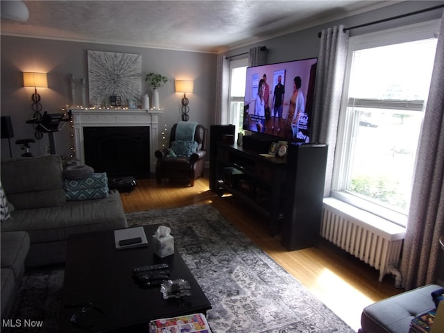 living room featuring radiator, wood-type flooring, a textured ceiling, and crown molding