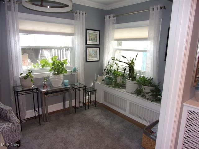 sitting room with ornamental molding, radiator, carpet floors, and a healthy amount of sunlight