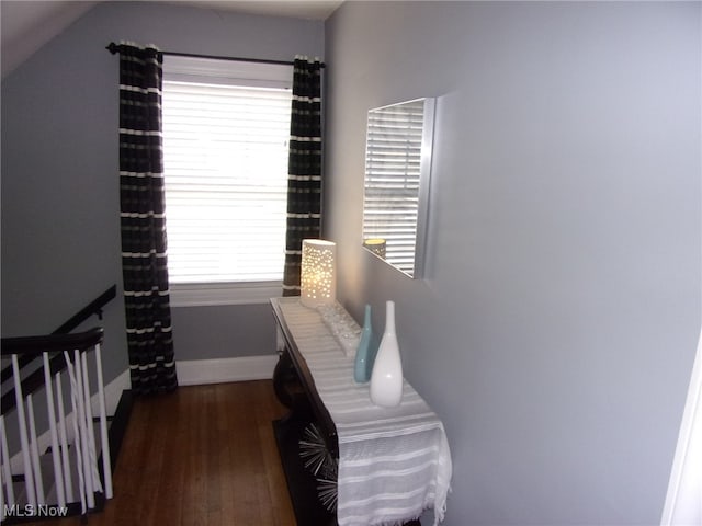 bedroom featuring lofted ceiling, multiple windows, and dark hardwood / wood-style flooring