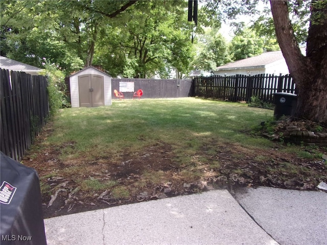 view of yard featuring a storage unit