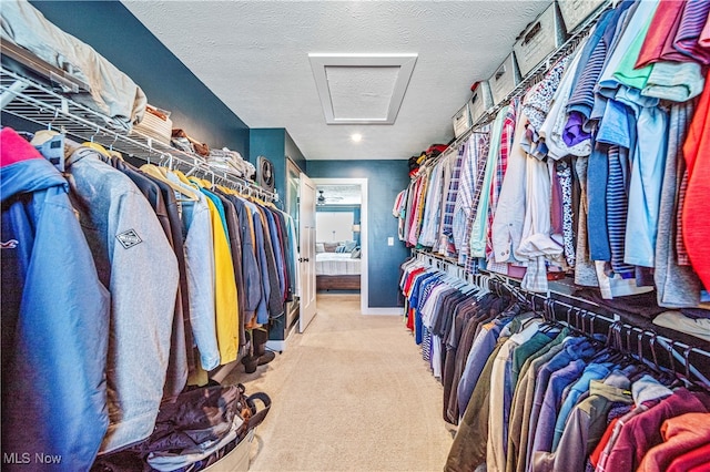 walk in closet with light carpet