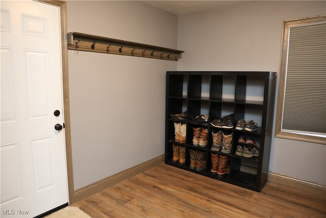 mudroom featuring hardwood / wood-style flooring