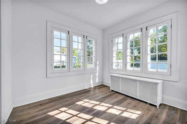 spare room featuring radiator and dark hardwood / wood-style flooring