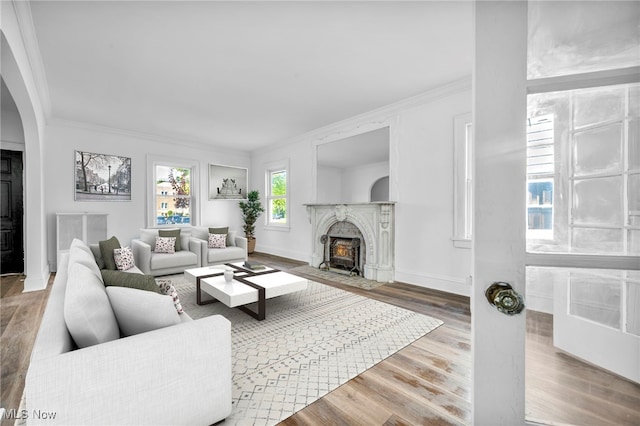 living room with wood-type flooring and ornamental molding