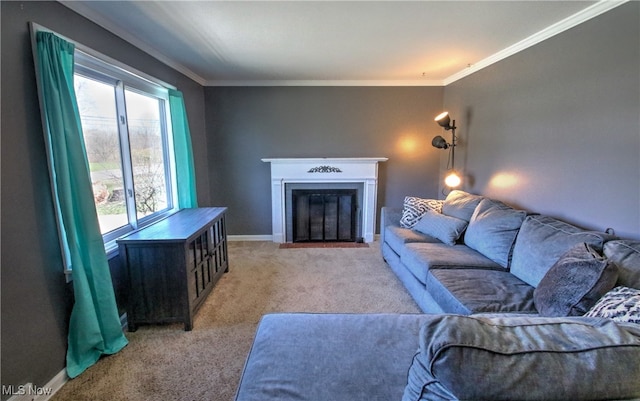 carpeted living room featuring crown molding