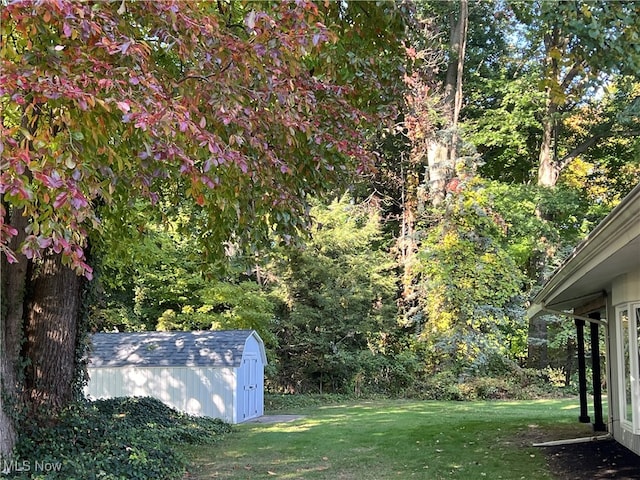 view of yard featuring a storage unit