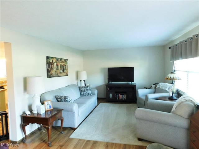 living room featuring hardwood / wood-style flooring