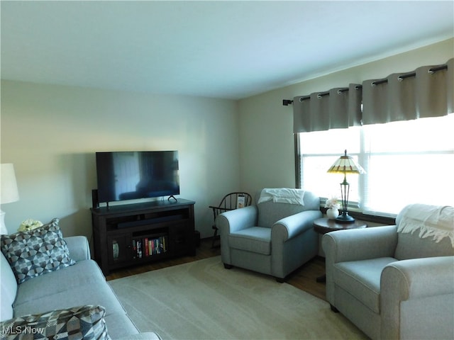 living room featuring light hardwood / wood-style flooring