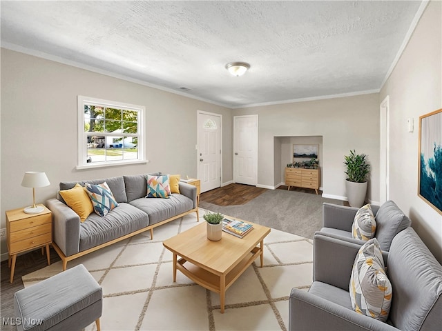 living room featuring a textured ceiling, crown molding, and wood-type flooring