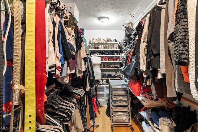 spacious closet featuring hardwood / wood-style flooring