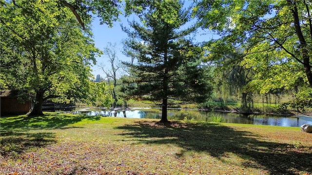 view of yard with a water view