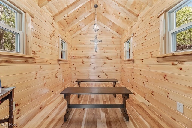 view of sauna featuring wooden ceiling, a healthy amount of sunlight, and wood walls