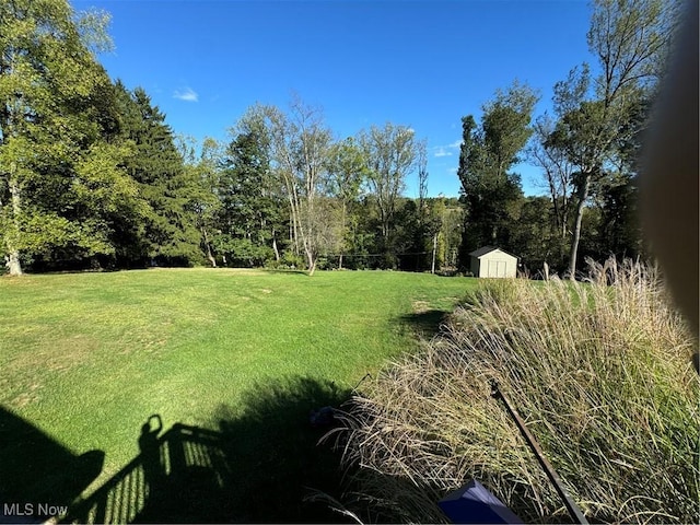 view of yard with a storage shed and an outbuilding