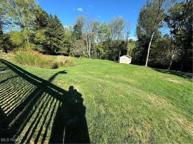 view of yard with an outdoor structure and a shed