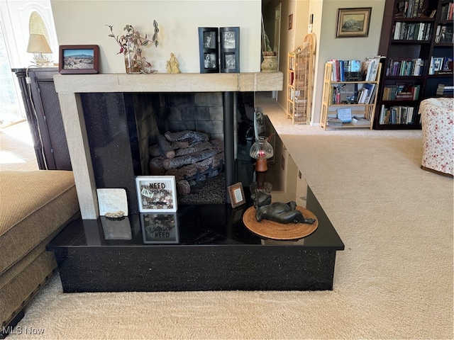 interior details featuring carpet floors