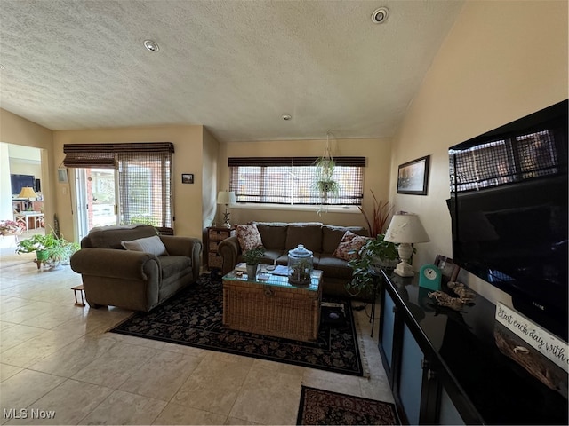 living area featuring lofted ceiling, a textured ceiling, and a wealth of natural light