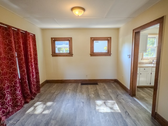 empty room featuring hardwood / wood-style flooring and sink