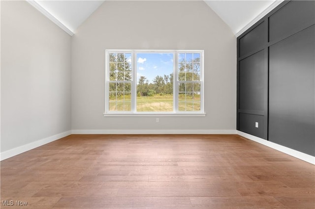 spare room featuring high vaulted ceiling and light hardwood / wood-style floors