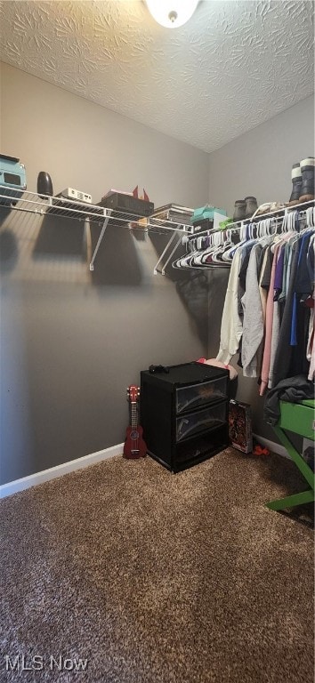 spacious closet featuring carpet floors