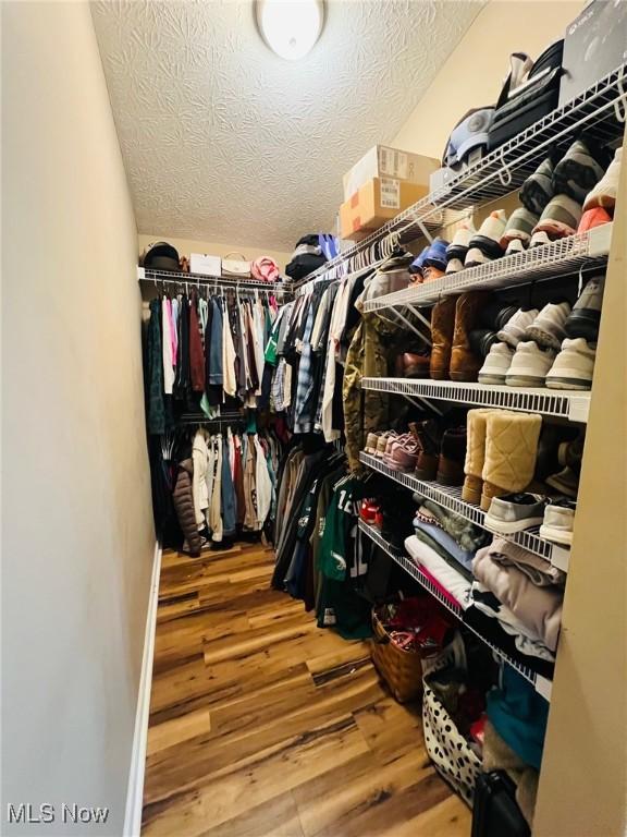 spacious closet with hardwood / wood-style floors