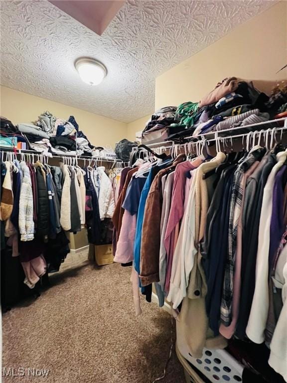 spacious closet featuring carpet