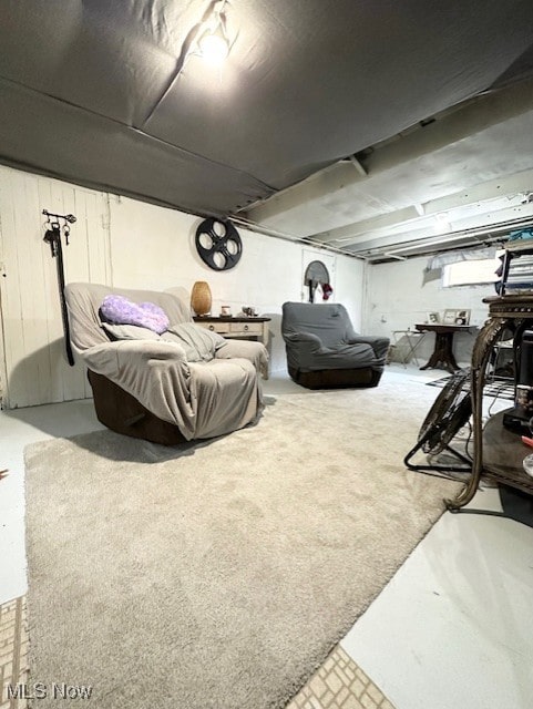 basement featuring carpet