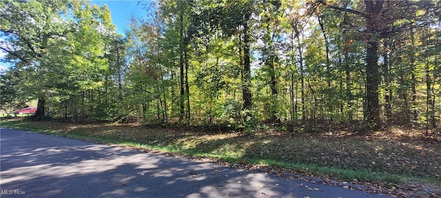 1290-1291 Laurel Dr, West Salem OH, 44287 land for sale