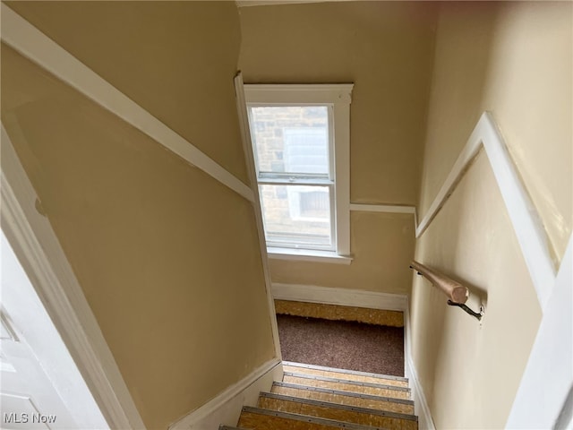 stairs featuring carpet flooring