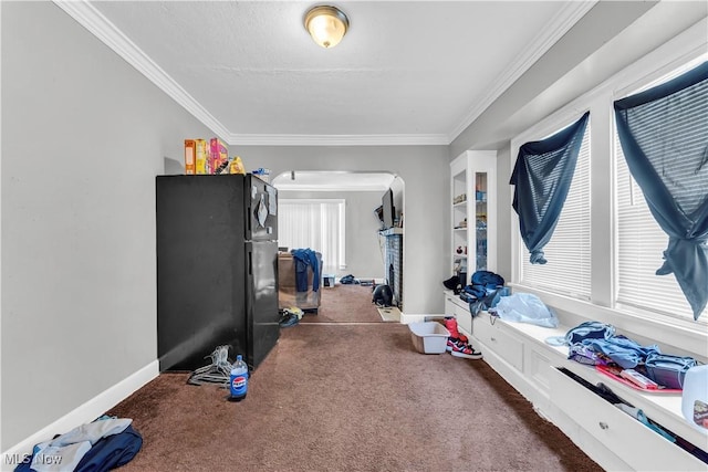 interior space with carpet floors, ornamental molding, and baseboards