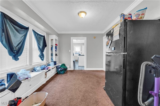 interior space featuring baseboards, ornamental molding, carpet, and a healthy amount of sunlight