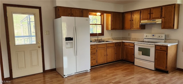 kitchen with light hardwood / wood-style floors, white appliances, and a wealth of natural light