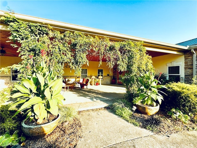 rear view of house with a patio area