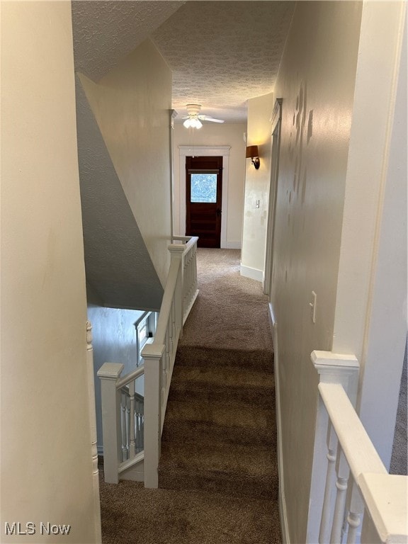 staircase with a textured ceiling and carpet floors